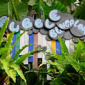 Bubble Bungalow
